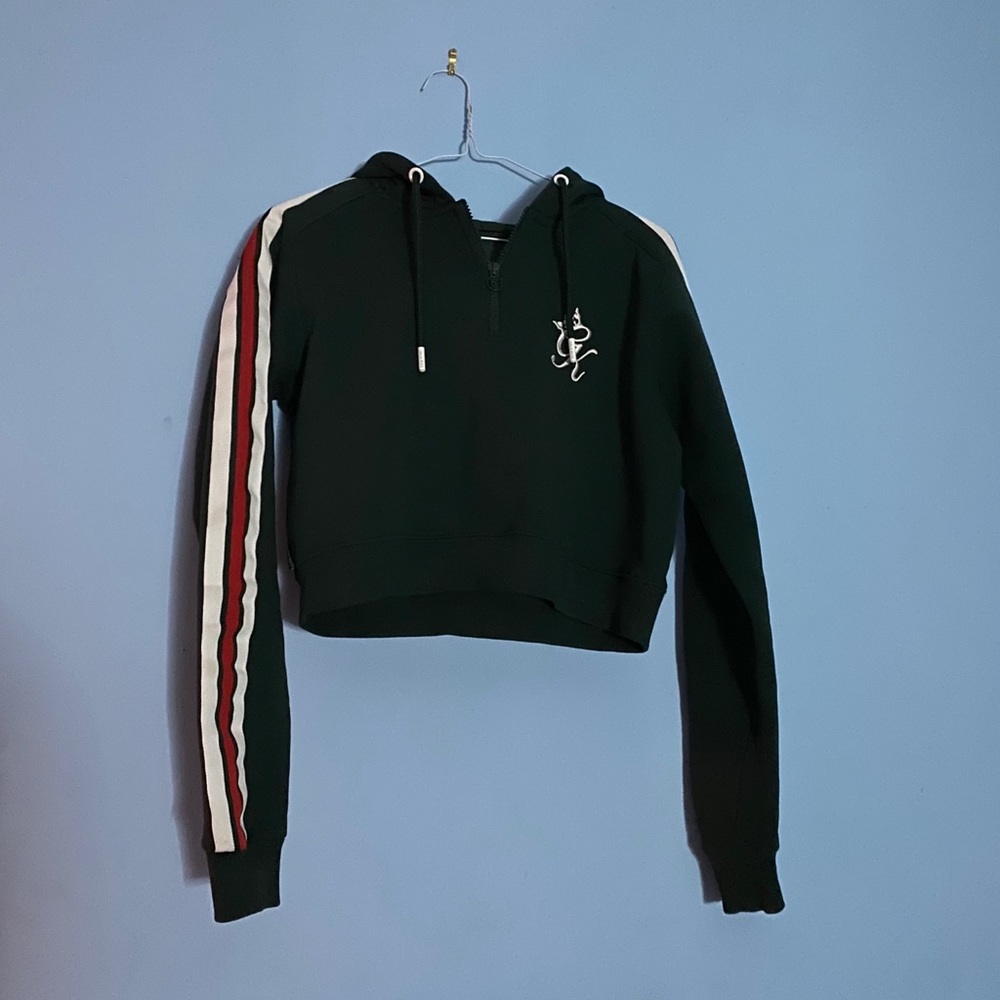 Gym King Amazon Green Cropped Hoodie
